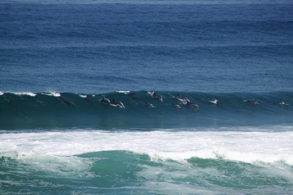Murphys Port Elizabeth Exterior foto